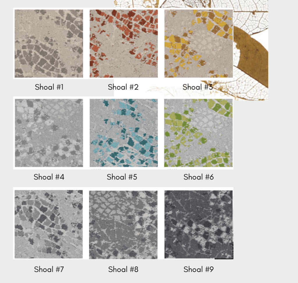 Shoal series and product specification